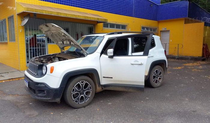 Portal Caparaó - Polícia Rodoviária Federal apreende veículo clonado em  Realeza