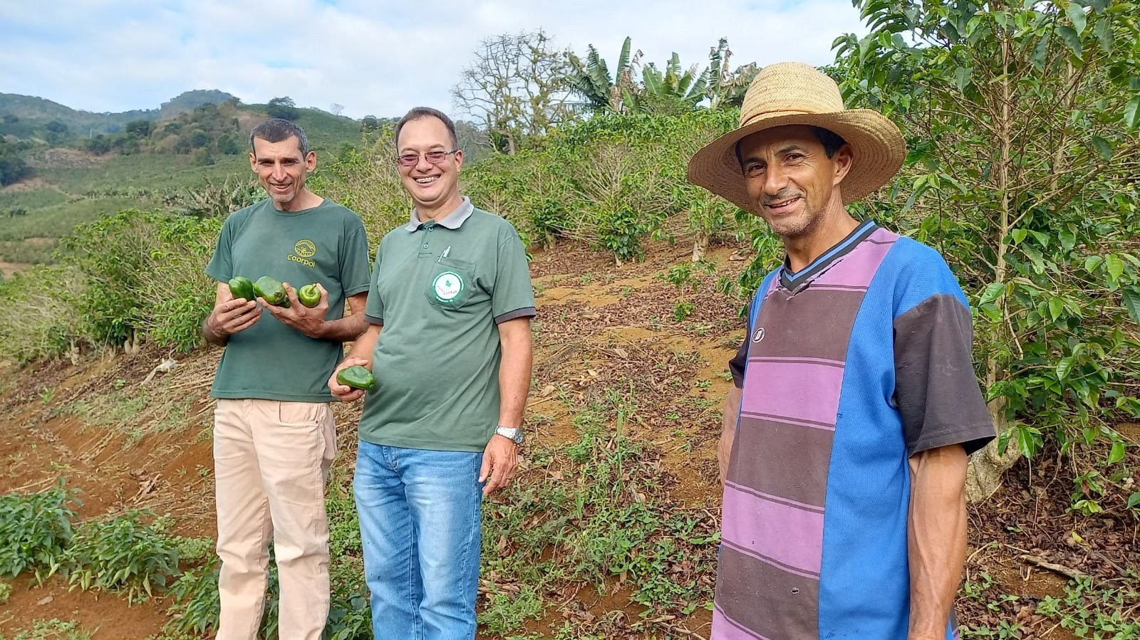 Agricultura familiar organizada gera renda e alimentos de qualidade em Manhuaçu