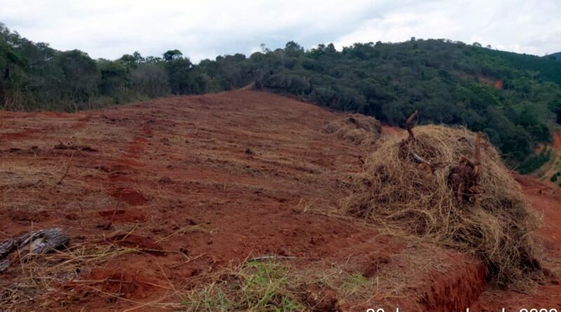 Desmatamento: PM de Meio Ambiente aplica mais de meio milhão em multas