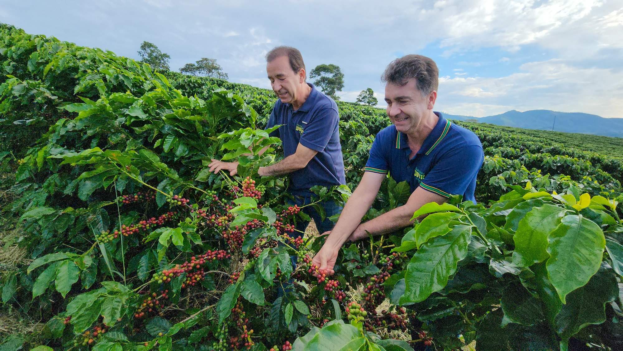 Exportações de café para a China crescem quase 4.000% em 10 anos